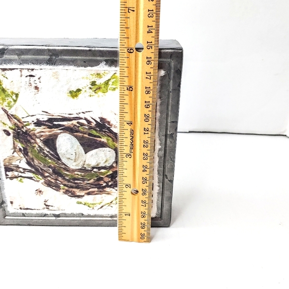 Raz Imports birds nest accent drawings. Green/white/gray. 2 piece set. - Picture 4 of 12